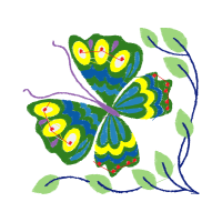 Drawing Animals Drawing Animals