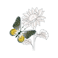 Drawing Animals Drawing Animals