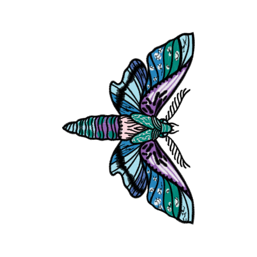 Drawing Animals Drawing Animals