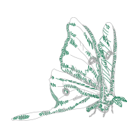 Drawing Animals Drawing Animals