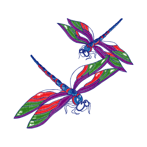 Drawing Animals Drawing Animals