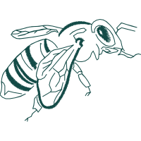 Drawing Animals Drawing Animals