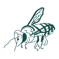 Drawing Animals