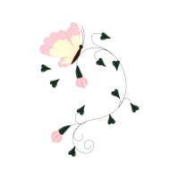 Drawing Animals Drawing Animals