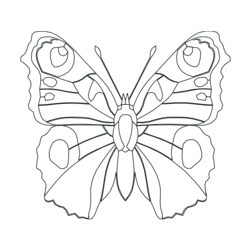 Drawing Animals Drawing Animals