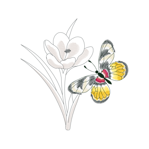 Drawing Animals Drawing Animals