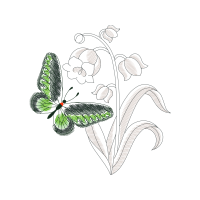 Drawing Animals Drawing Animals