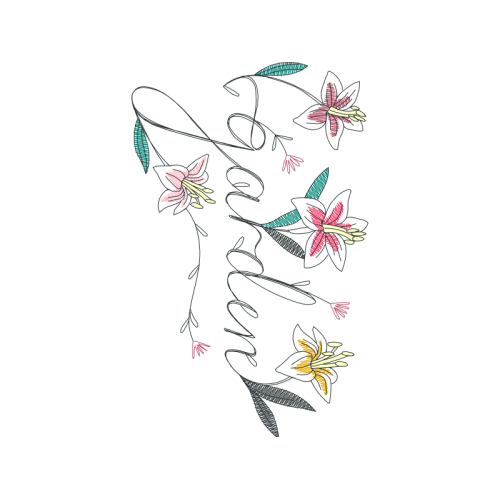 Drawing Animals Drawing Animals