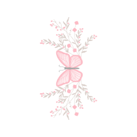 Drawing Animals Drawing Animals