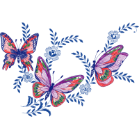 Drawing Animals Drawing Animals