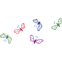 Drawing Animals Drawing Animals