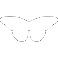 Drawing Animals Drawing Animals