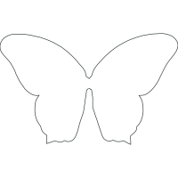 Drawing Animals Drawing Animals