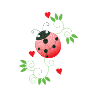 Drawing Animals Drawing Animals