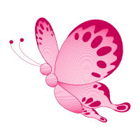 Drawing Animals Drawing Animals