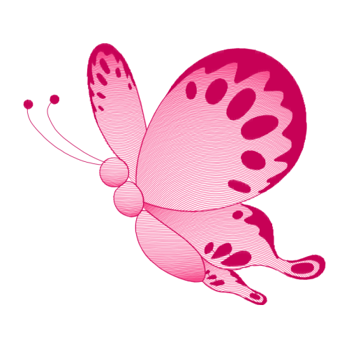 Drawing Animals Drawing Animals