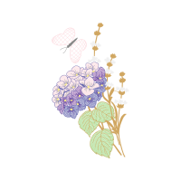 Drawing Animals Drawing Animals