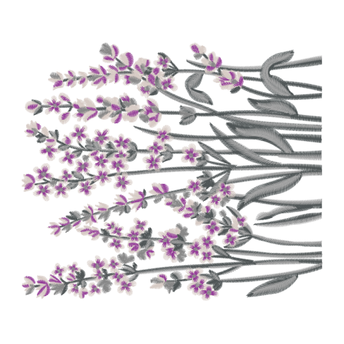 English Lavender Animals English Lavender Animals