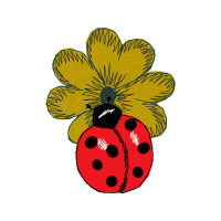 Flower Animals Flower Animals