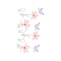 Flower Animals Flower Animals