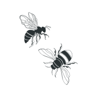 Gall Wasps Animals Gall Wasps Animals