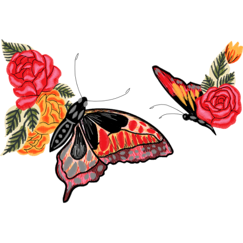 Garden Roses Animals Garden Roses Animals