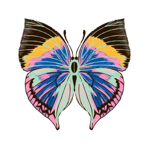 Gossamer Winged Butterflies Animals Gossamer Winged Butterflies Animals