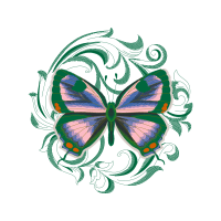 Gossamer Winged Butterflies Animals