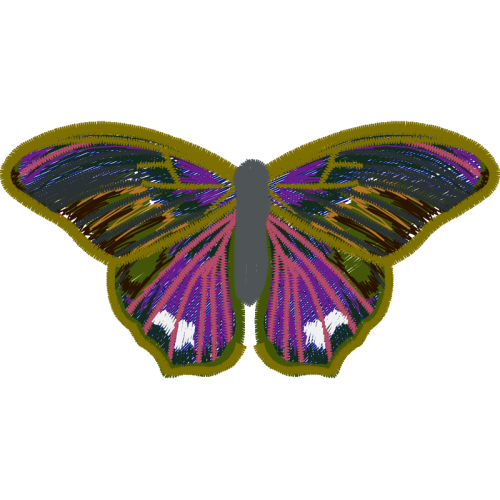 Gossamer Winged Butterflies Animals Gossamer Winged Butterflies Animals