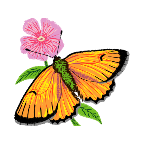 Gossamer Winged Butterflies Animals Gossamer Winged Butterflies Animals