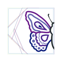 Gossamer Winged Butterflies Animals