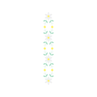 Graphic Animals Graphic Animals