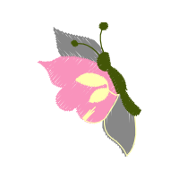 Graphic Animals Graphic Animals