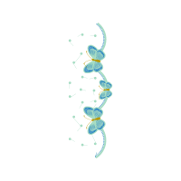 Green Sea Turtle Animals