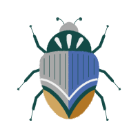 Ground Beetle Animals