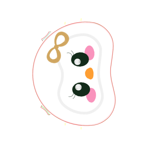 Ground Beetle Animals