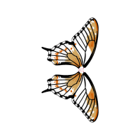 Group Theory Animals