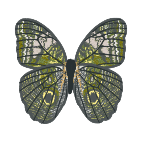 Hairstreaks Animals Hairstreaks Animals