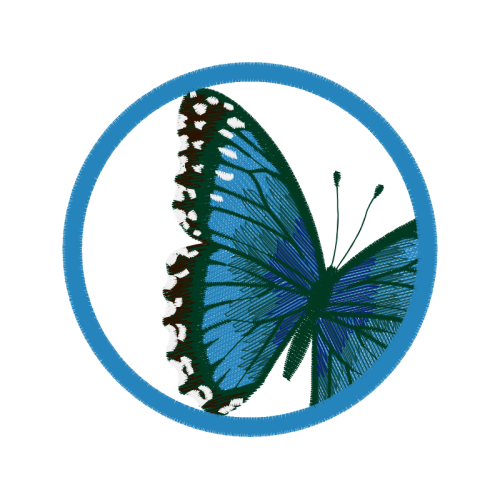 Holly Blue Animals Holly Blue Animals