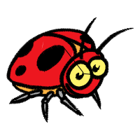 Honey Bee Animals