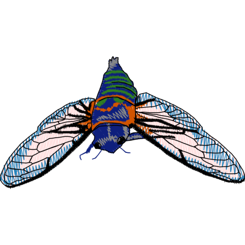 Housefly Animals Housefly Animals