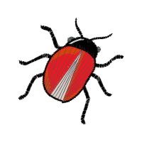 Housefly Animals