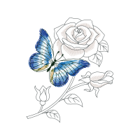 Hybrid Tea Rose Animals