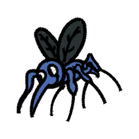Illustration Animals