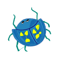 Illustration Animals