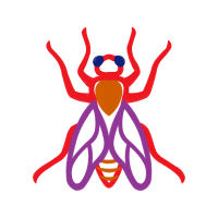 Illustration Animals