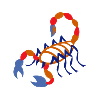 Illustration Animals