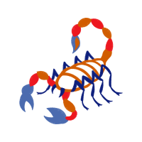 Illustration Animals