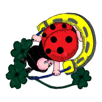 Illustration Animals Illustration Animals