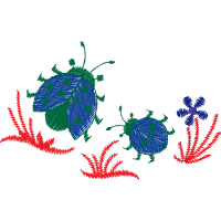 Illustration Animals